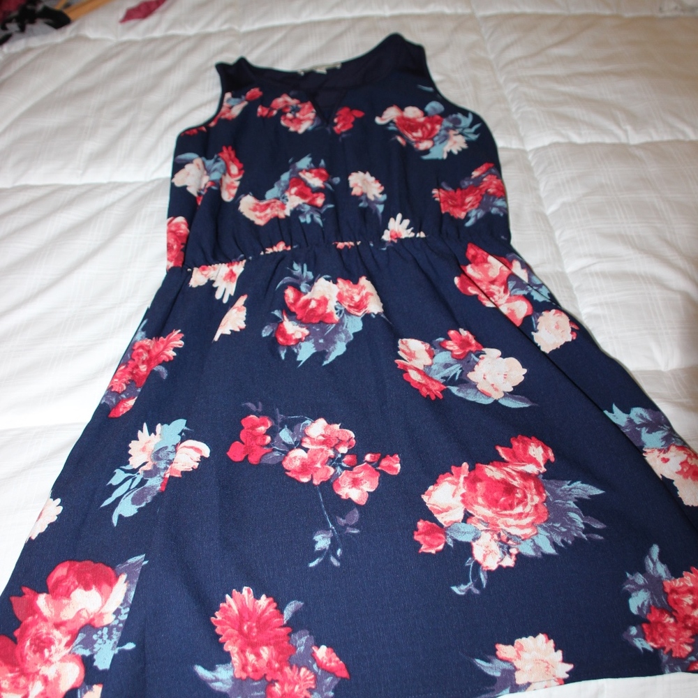 41 Hawthorn Dress Mini dress